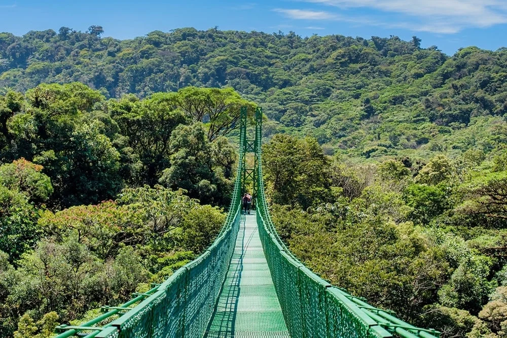 Hanging bridge in the Monteverde forest