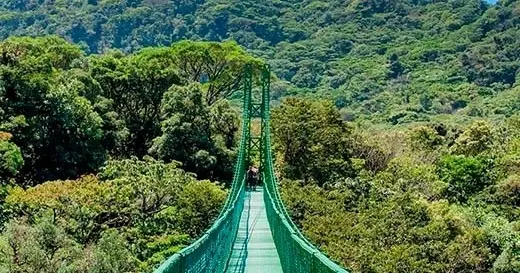 Arenal Volcano Tour Hanging Bridges & visit to the Rio Fortuna Waterfall — Green Life Tours